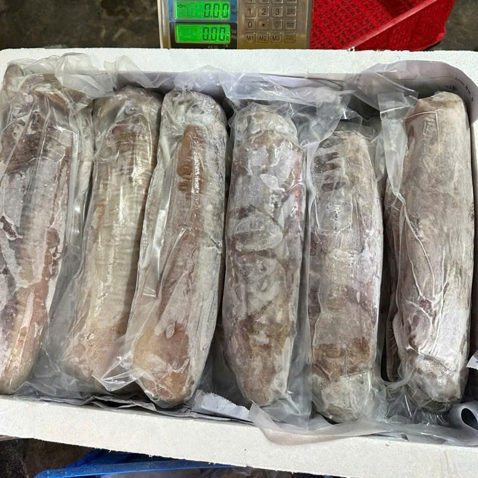 Hải Sản Cấp Đông: Giải Pháp Dinh Dưỡng Cho Người Bận Rộn